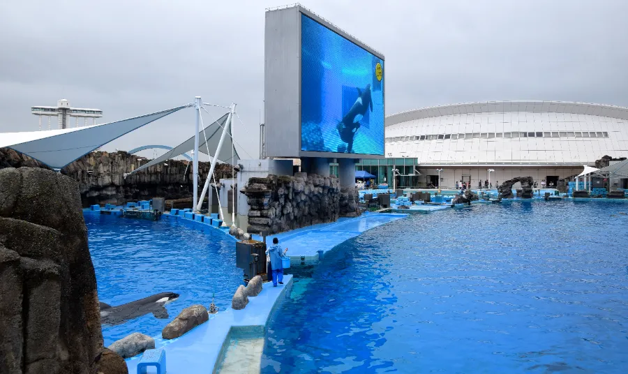 Thủy cung Nagoya (Port of Nagoya Public Aquarium)