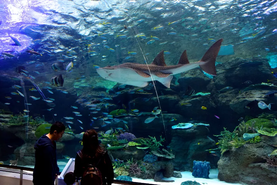 Thủy cung Nagoya (Port of Nagoya Public Aquarium)