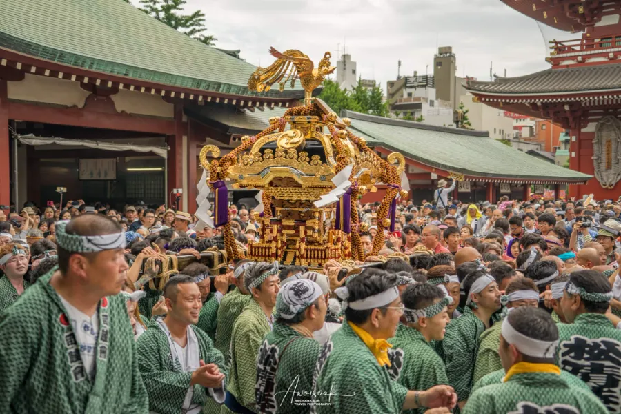 Sanja Matsuri - Lễ hội truyền thống sôi động bậc nhất Tokyo