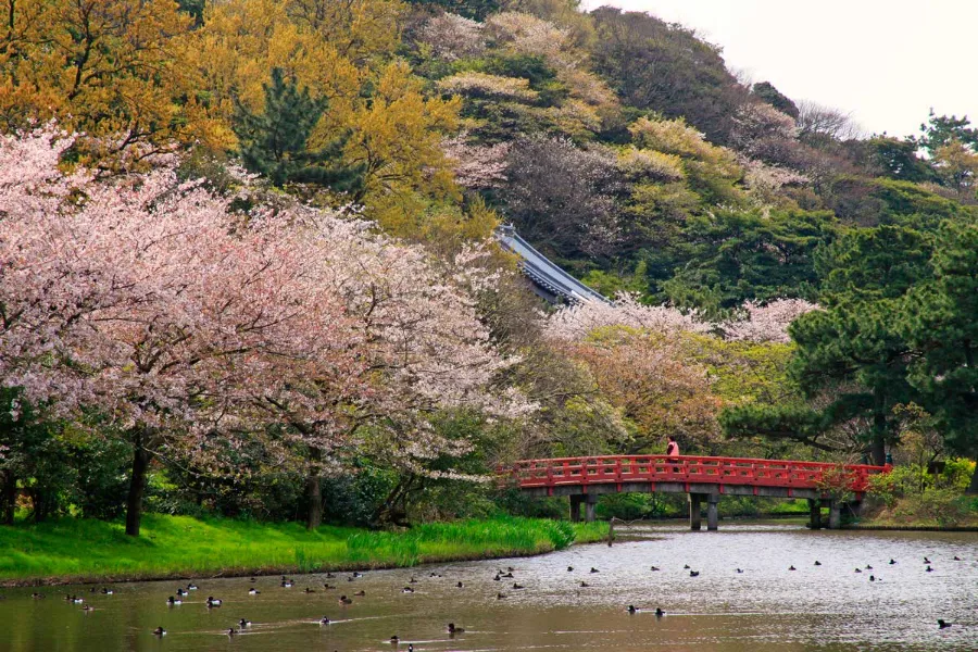 Sankeien Garden - Yokohama Nhật Bản