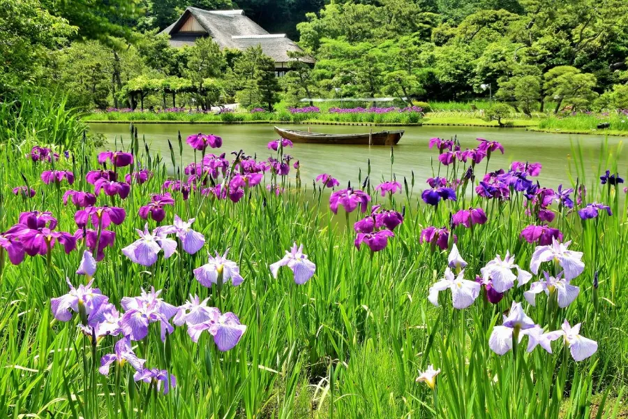 Sankeien Garden - Yokohama Nhật Bản