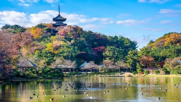 Sankeien Garden - Yokohama Nhật Bản