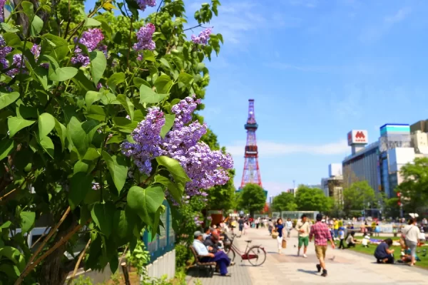 Lễ hội Sapporo Lilac Festival | Lễ hội ở Hokkaido