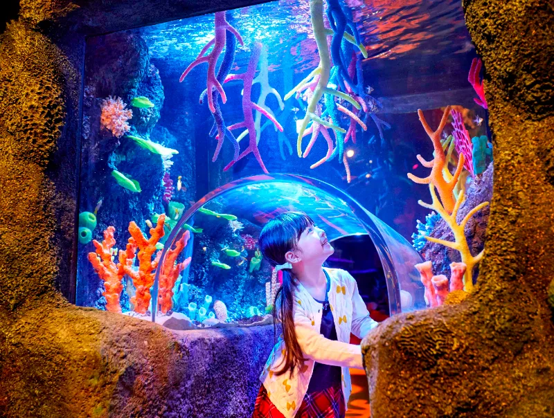 Thủy cung Sea Life Nagoya