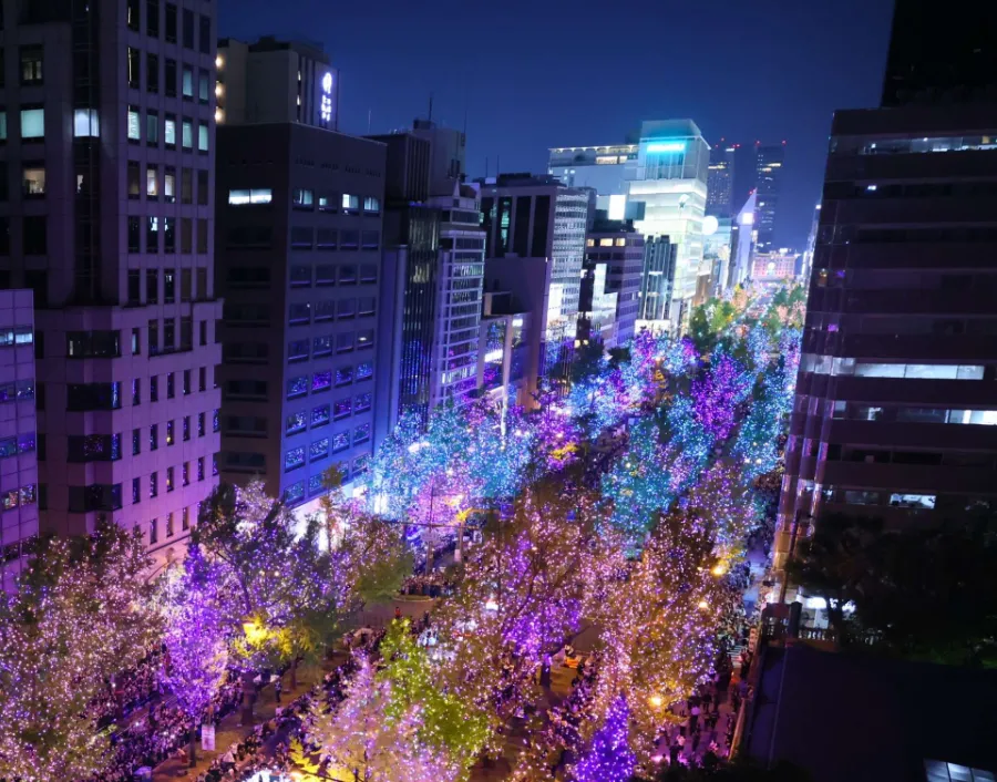 Lễ hội ánh sáng Osaka