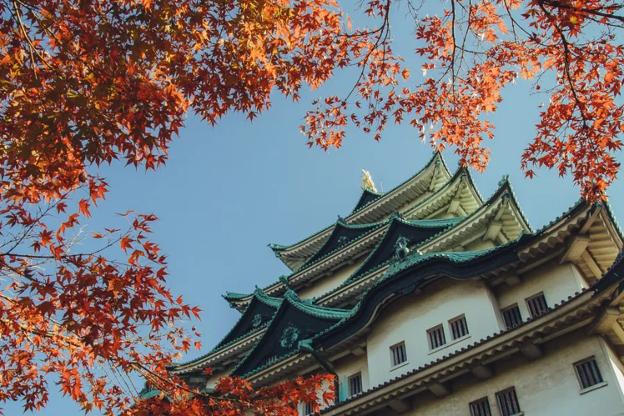 Nagoya Castle - Lâu đài Nagoya (Thành Nagoya)