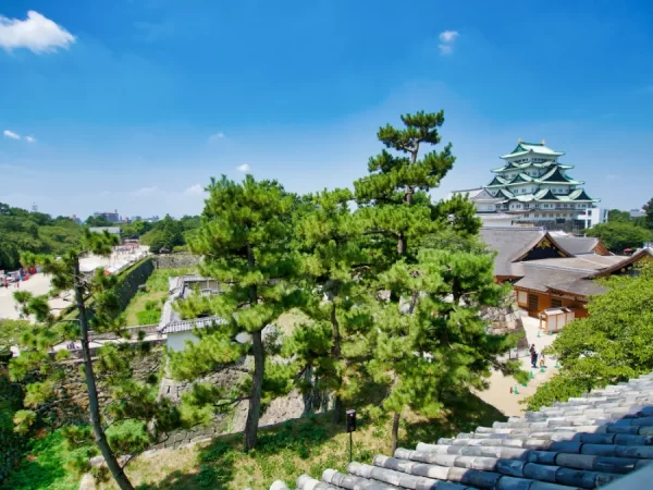 Nagoya Castle - Lâu đài Nagoya (Thành Nagoya)