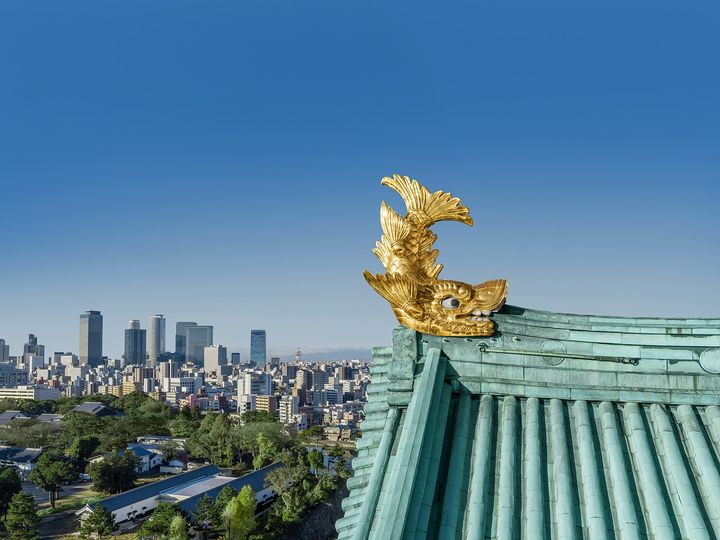 Nagoya Castle - Lâu đài Nagoya (Thành Nagoya)