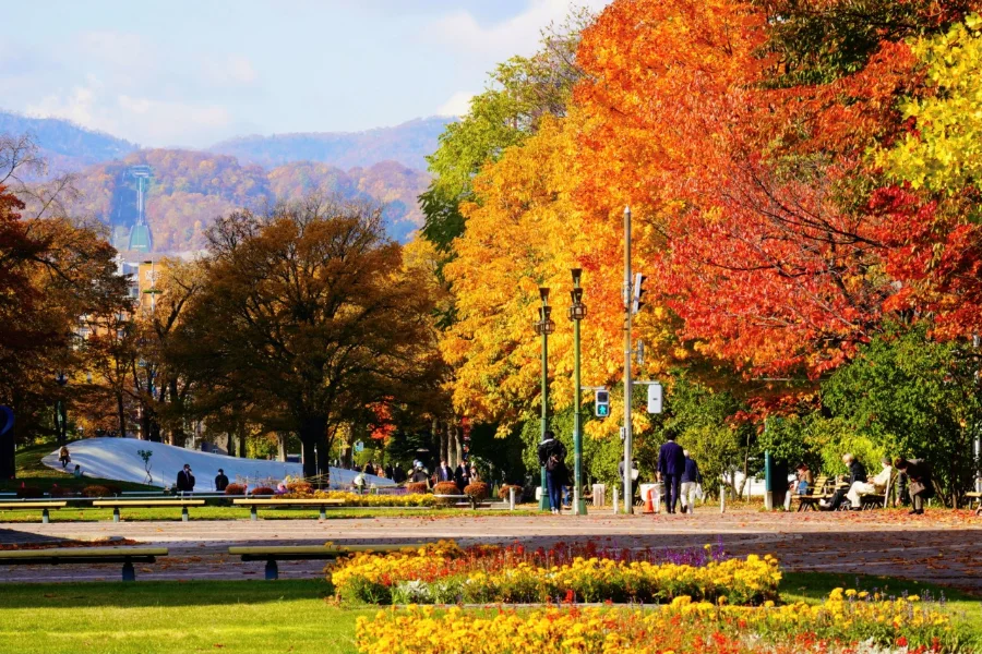 Công viên Odori - Viên ngọc xanh giữa lòng Sapporo Odori Park (Công viên Odori): Viên ngọc giữa lòng Sapporo