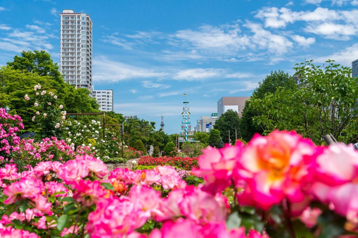 Công viên Odori - Viên ngọc xanh giữa lòng Sapporo Odori Park (Công viên Odori): Viên ngọc giữa lòng Sapporo