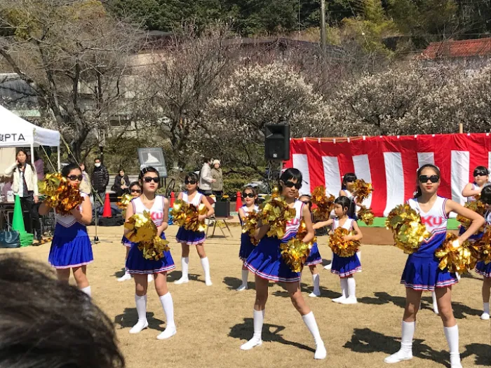 Bairin Park - Nơi Ngắm Hoa Mận Đẹp Nhất ở Gifu Vào Mùa Xuân