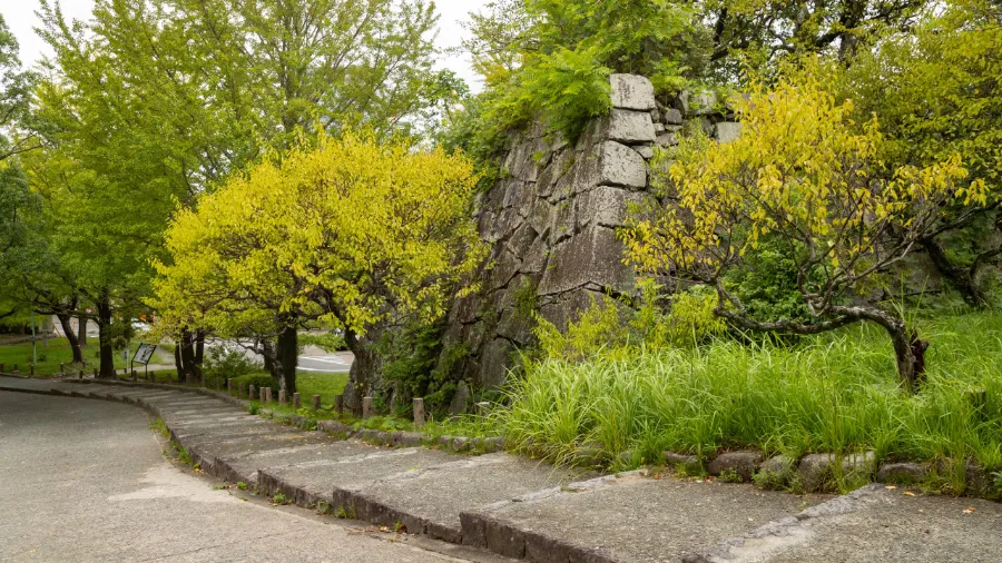 Fukuoka Castle Ruins: Khám phá vẻ đẹp của lâu đài Fukuoka