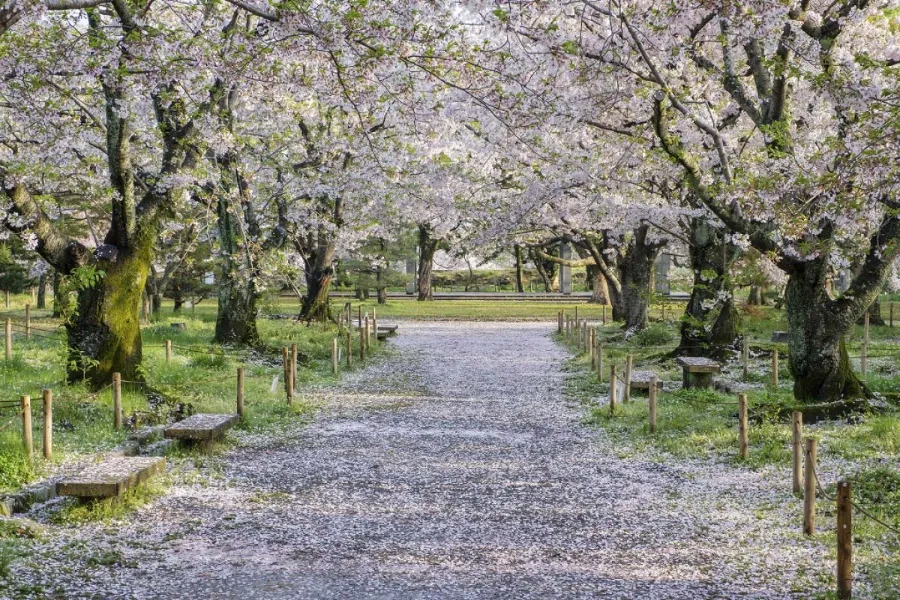 Fukuoka Castle Ruins: Khám phá vẻ đẹp của lâu đài Fukuoka