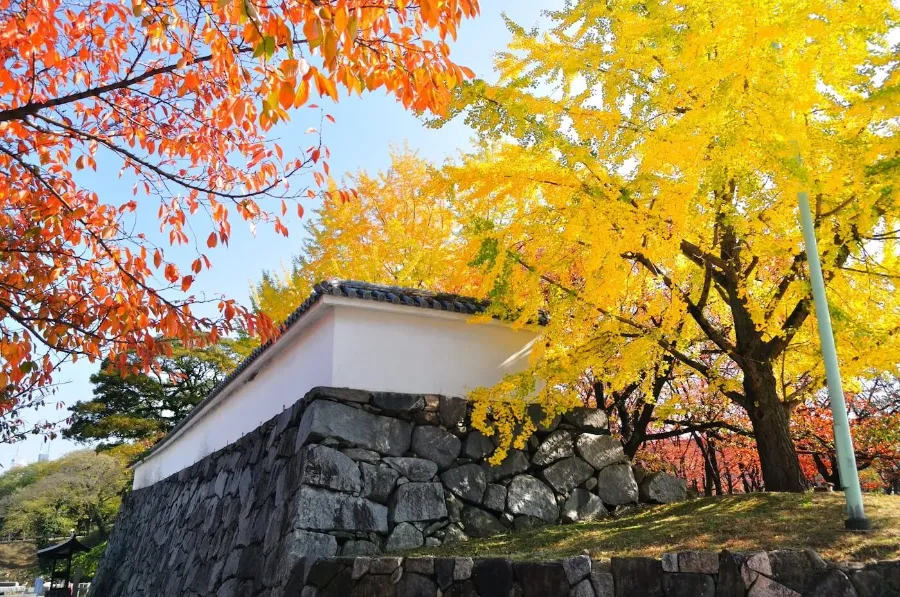 Fukuoka Castle Ruins: Khám phá vẻ đẹp của lâu đài Fukuoka