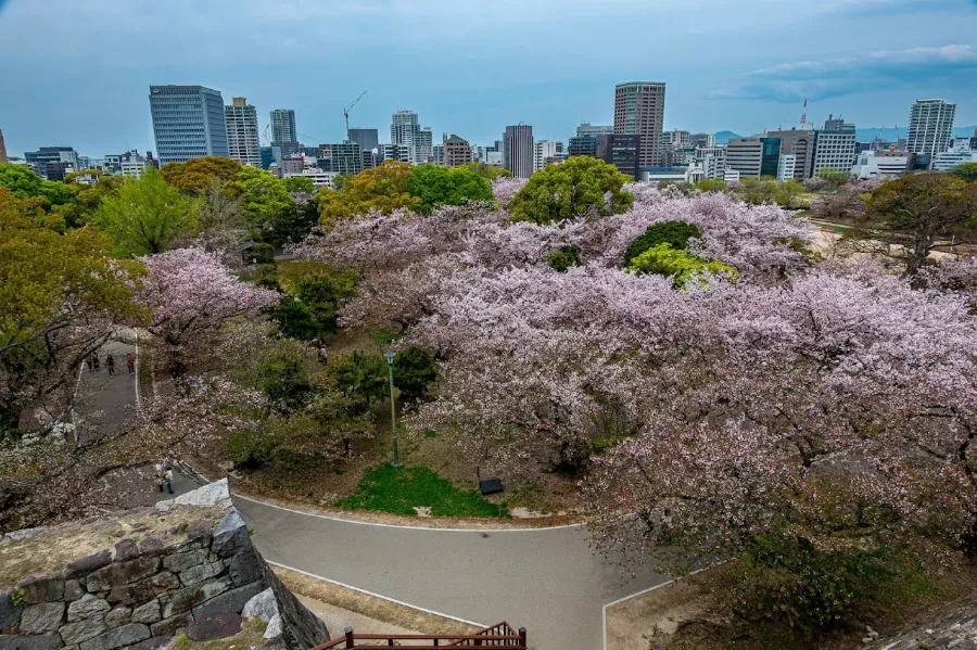 Fukuoka Castle Ruins: Khám phá vẻ đẹp của lâu đài Fukuoka