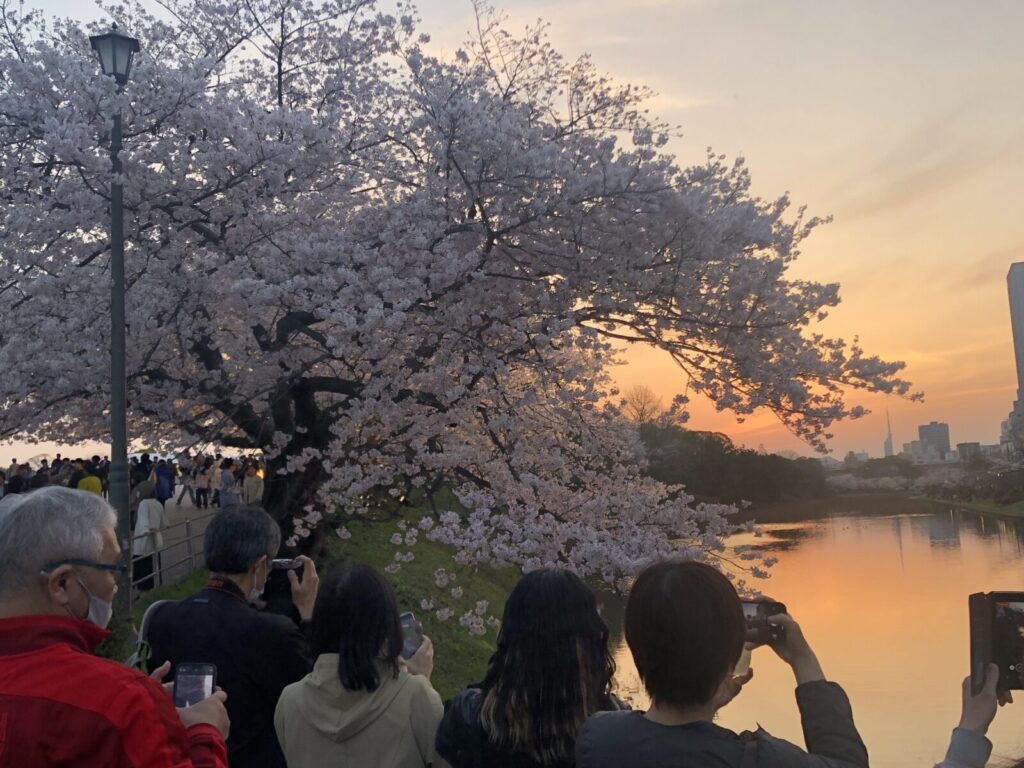 Fukuoka Castle Ruins: Khám phá vẻ đẹp của lâu đài Fukuoka