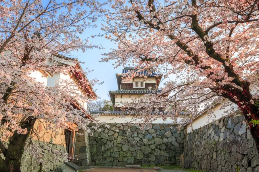 Fukuoka Castle Ruins: Khám phá vẻ đẹp của lâu đài Fukuoka