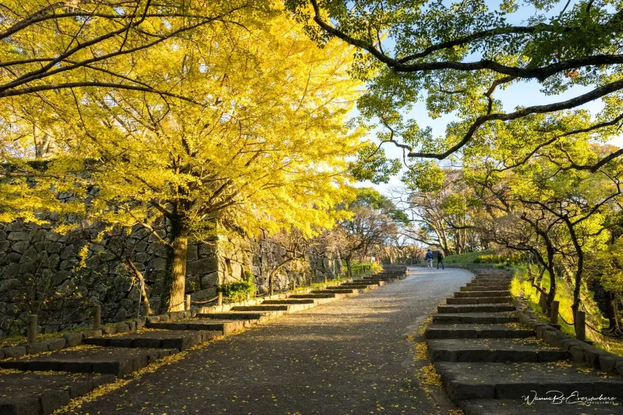 Fukuoka Castle Ruins: Khám phá vẻ đẹp của lâu đài Fukuoka