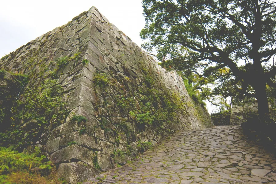 Fukuoka Castle Ruins: Khám phá vẻ đẹp của lâu đài Fukuoka