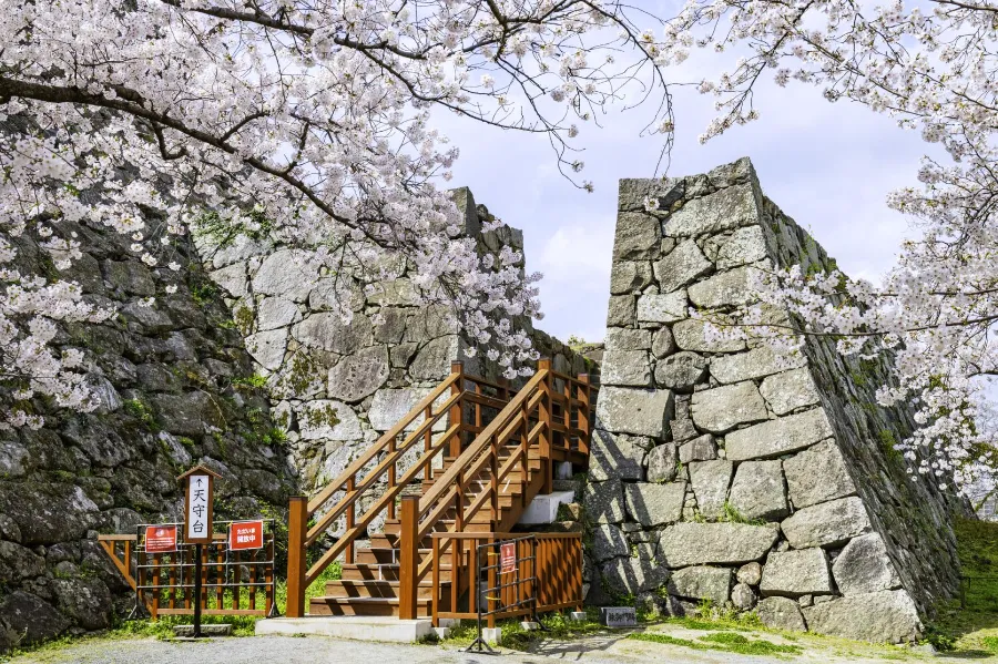 Fukuoka Castle Ruins: Khám phá vẻ đẹp của lâu đài Fukuoka