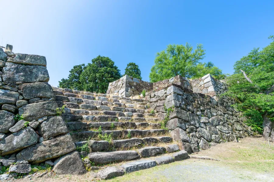 Fukuoka Castle Ruins: Khám phá vẻ đẹp của lâu đài Fukuoka