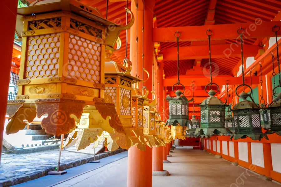 Kasuga Taisha Shrine: Tour du lịch Nara Nhật Bản