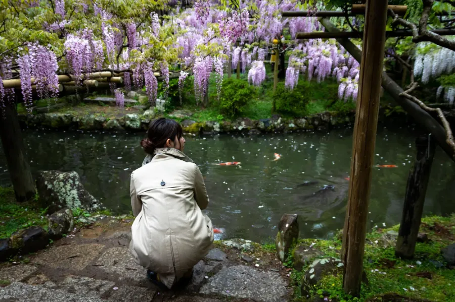 Kasuga Taisha Shrine: Ngôi đền linh thiêng bậc nhất ở Nara