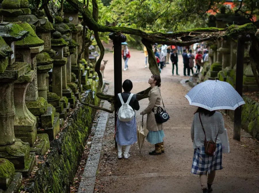 Kasuga Taisha Shrine: Ngôi đền linh thiêng bậc nhất ở Nara