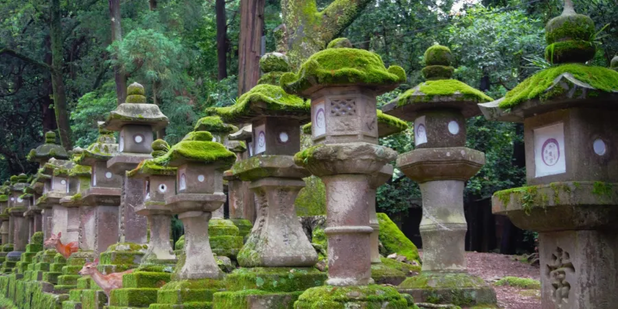 Kasuga Taisha Shrine: Ngôi đền linh thiêng bậc nhất ở Nara