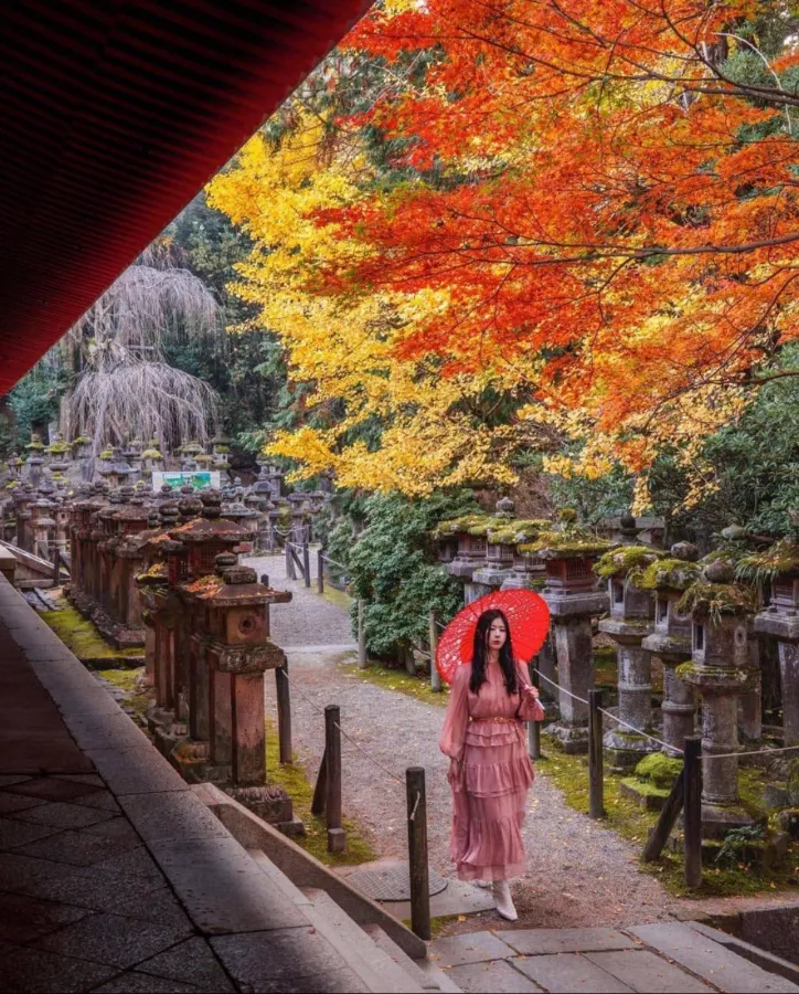 Kasuga Taisha Shrine: Ngôi đền linh thiêng bậc nhất ở Nara