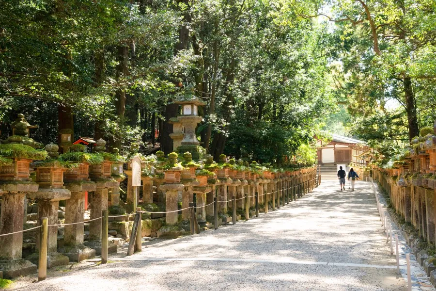 Kasuga Taisha Shrine: Ngôi đền linh thiêng bậc nhất ở Nara