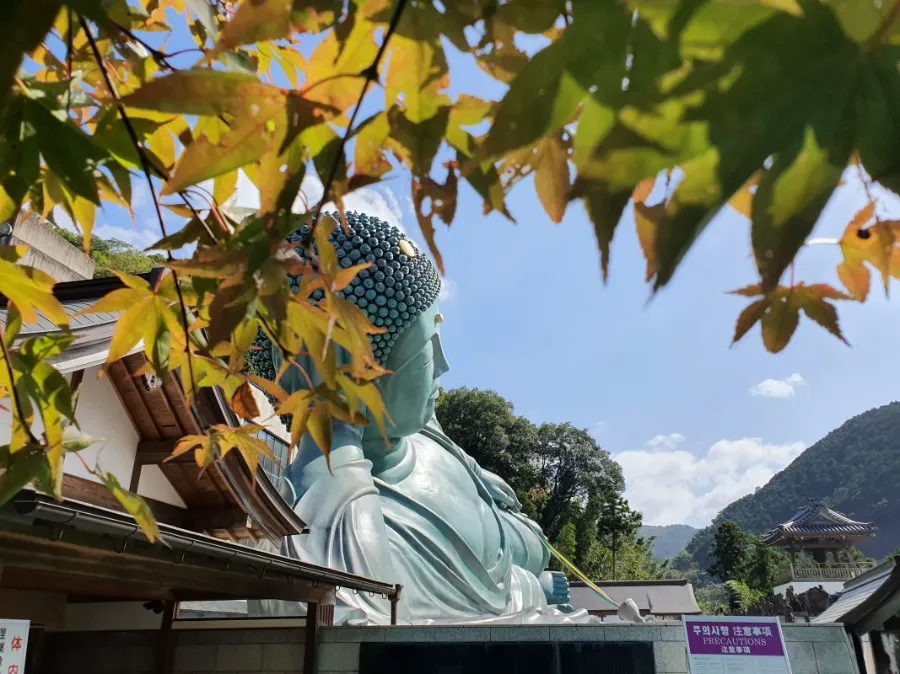 Nanzoin Temple: Chùa có bức tượng Phật nằm lớn nhất thế giới