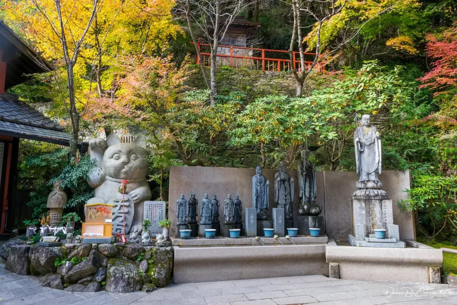 Nanzoin Temple: Chùa có bức tượng Phật nằm lớn nhất thế giới