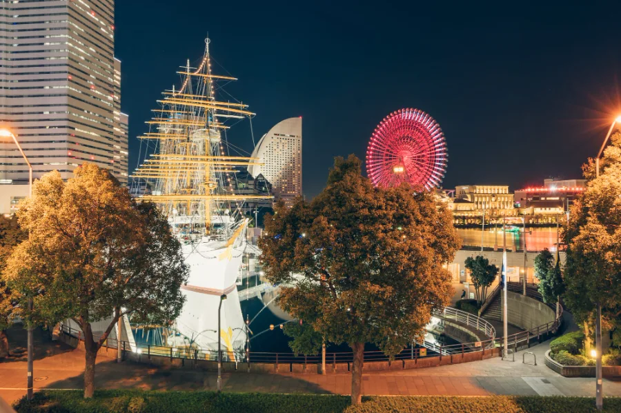 Nippon Maru (Sail Training Ship Nippon Maru)