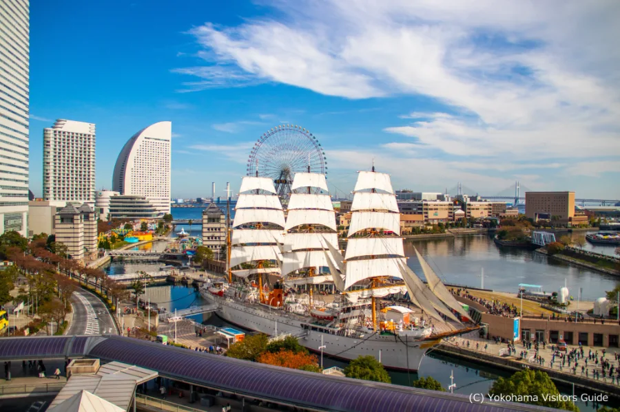 Nippon Maru (Sail Training Ship Nippon Maru)