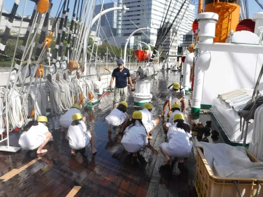 Nippon Maru (Sail Training Ship Nippon Maru)