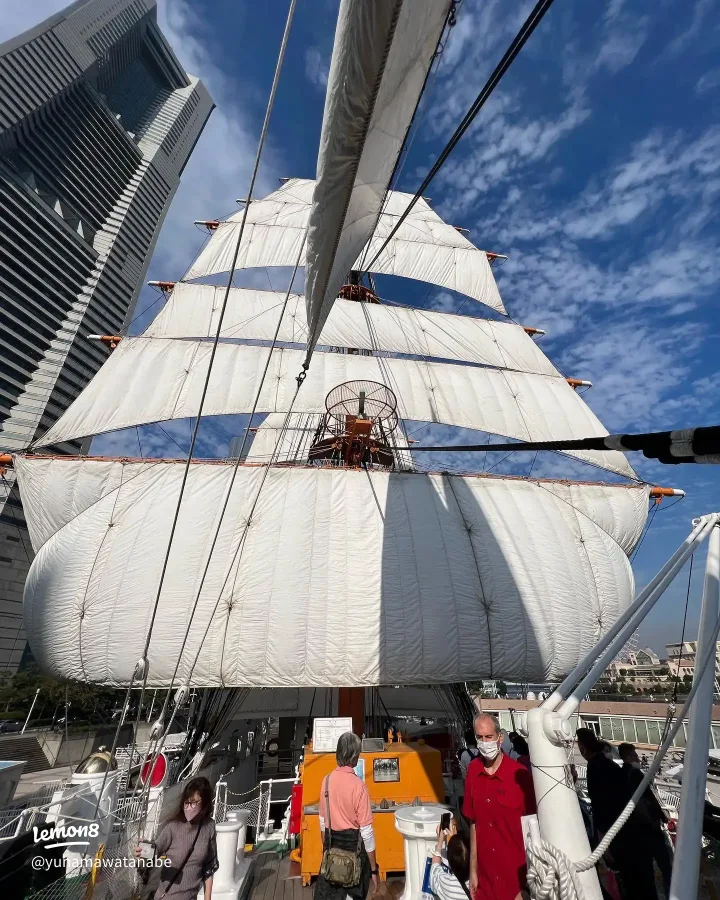 Nippon Maru (Sail Training Ship Nippon Maru)