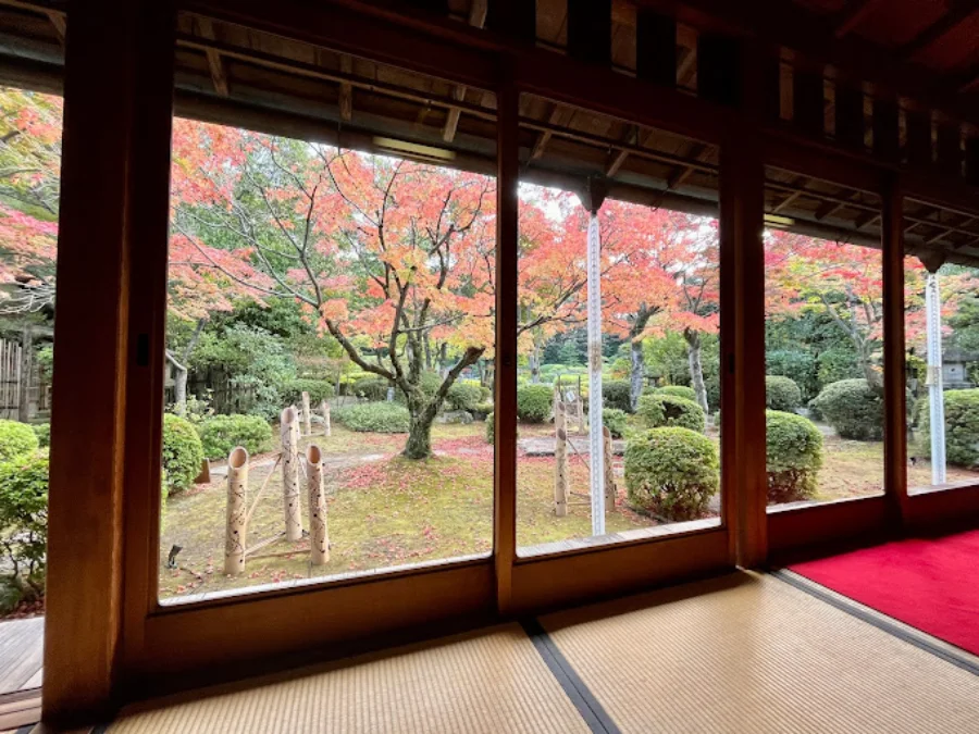 Ohori Park - Công Viên xanh giữa lòng Fukuoka, Nhật Bản