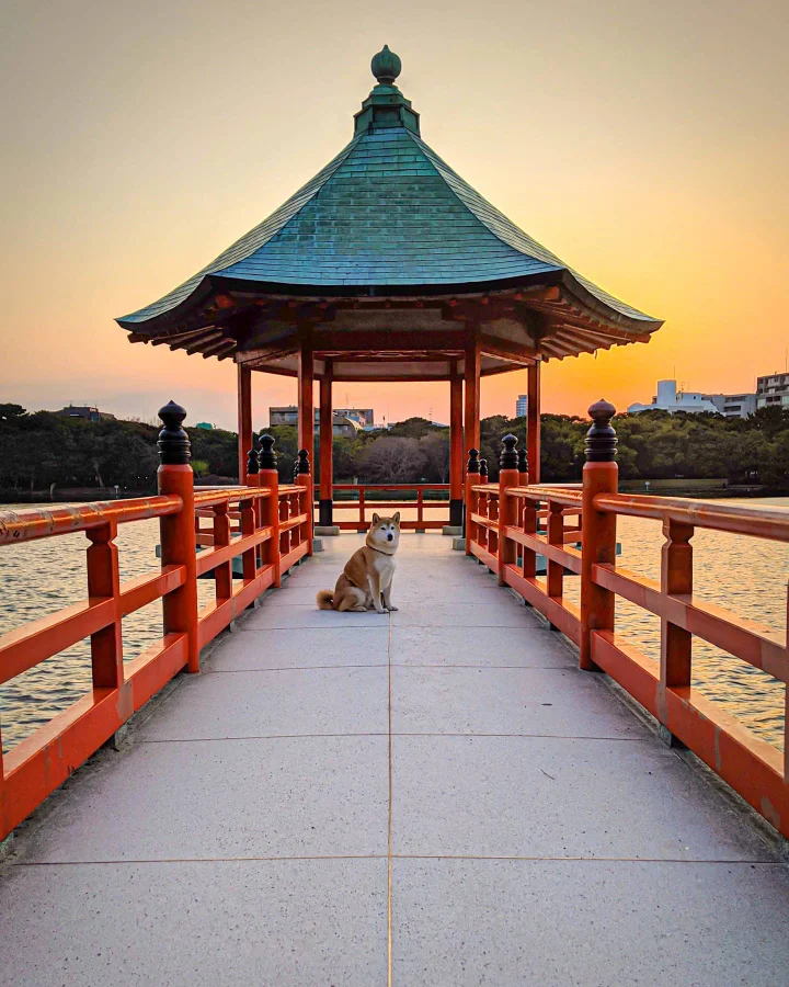 Ohori Park - Công Viên xanh giữa lòng Fukuoka, Nhật Bản