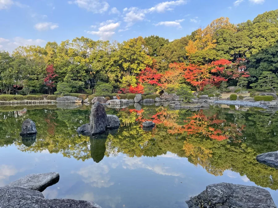 Ohori Park - Công Viên xanh giữa lòng Fukuoka, Nhật Bản