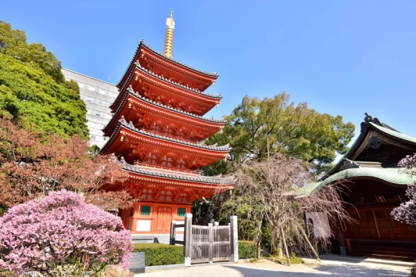 Tochoji Temple: Hành Trình Tâm Linh - Nơi Hội Tụ Tâm Hồn