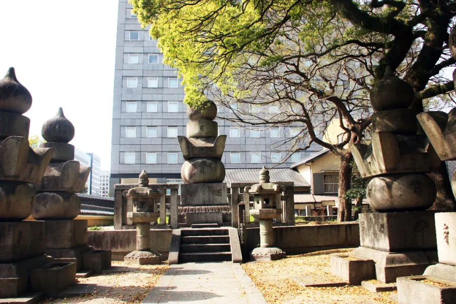 Tochoji Temple: Hành Trình Tâm Linh - Nơi Hội Tụ Tâm Hồn