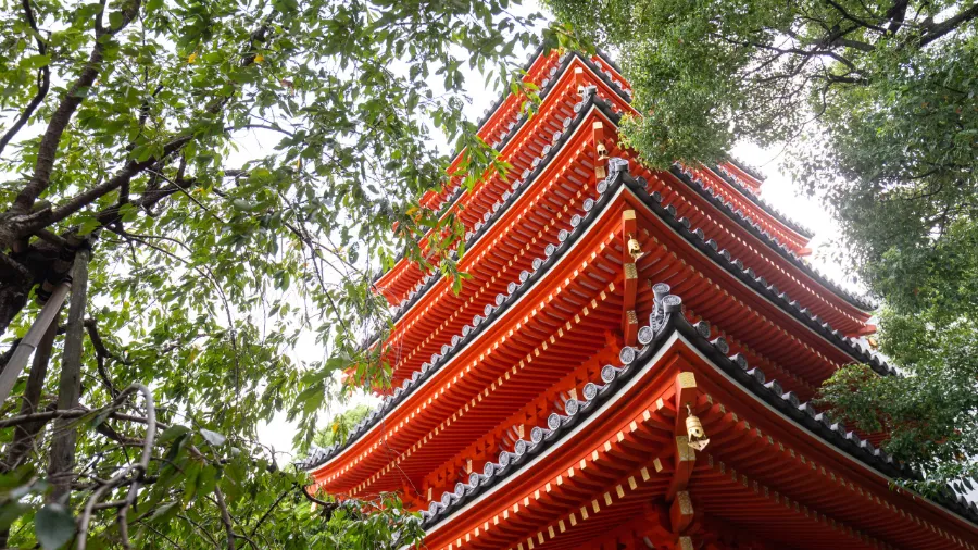 Tochoji Temple: Hành Trình Tâm Linh - Nơi Hội Tụ Tâm Hồn