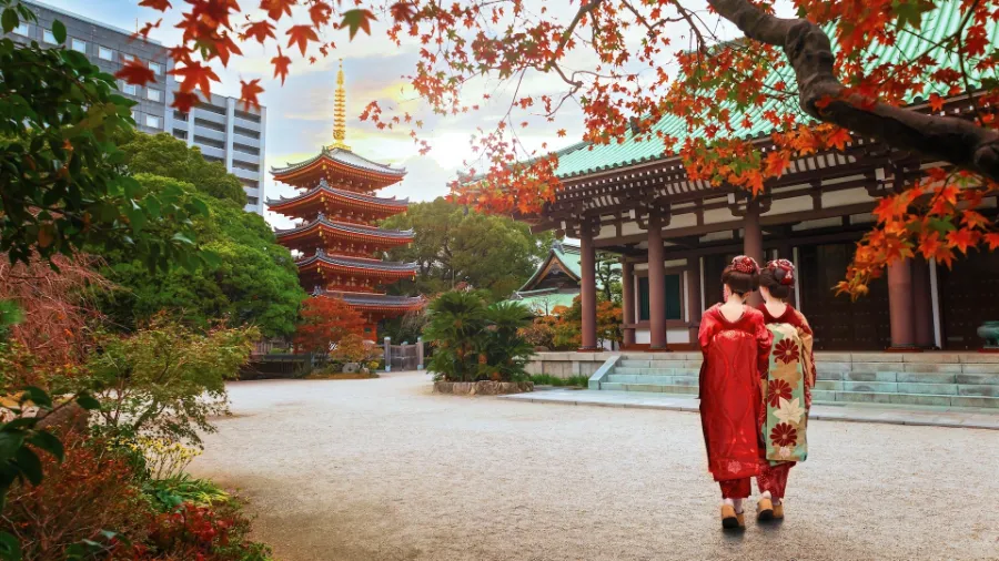 Tochoji Temple: Hành Trình Tâm Linh - Nơi Hội Tụ Tâm Hồn