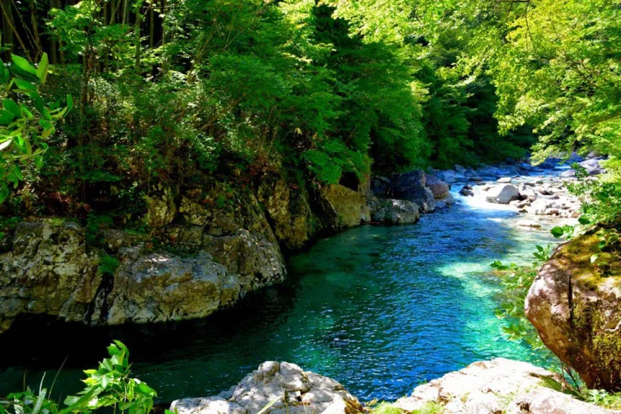 Tsukechi Gorge - Vẻ Đẹp Thiên Nhiên Hùng Vĩ Ở Tỉnh Gifu