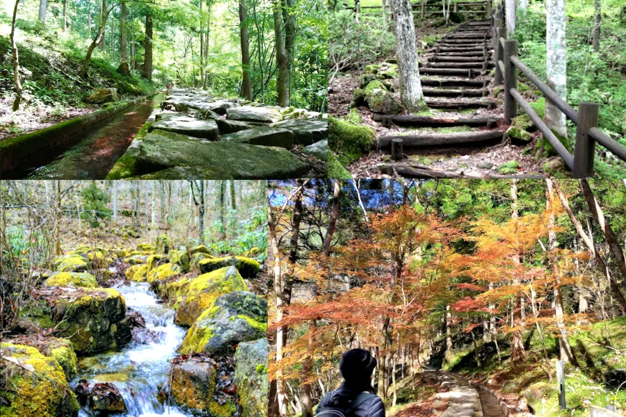 Tsukechi Gorge - Vẻ Đẹp Thiên Nhiên Hùng Vĩ Ở Tỉnh Gifu