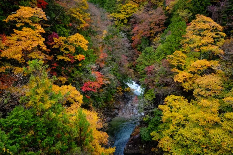 Tsukechi Gorge - Vẻ Đẹp Thiên Nhiên Hùng Vĩ Ở Tỉnh Gifu