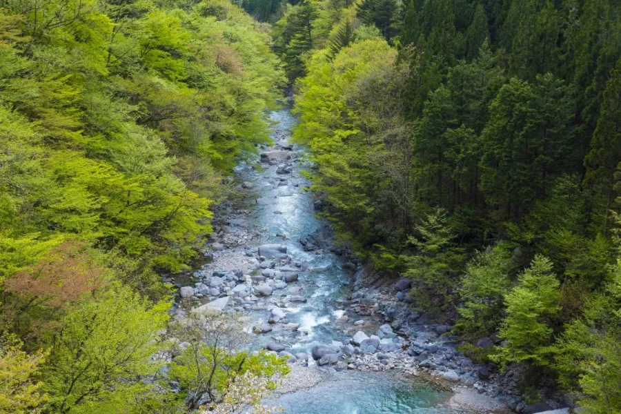 Tsukechi Gorge - Vẻ Đẹp Thiên Nhiên Hùng Vĩ Ở Tỉnh Gifu