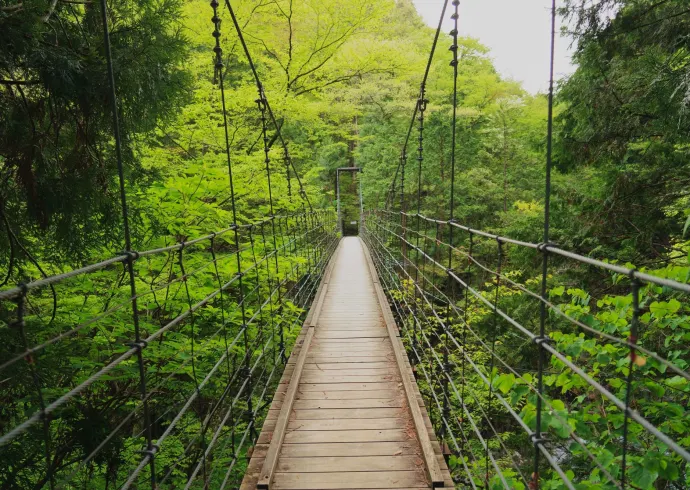 Tsukechi Gorge - Vẻ Đẹp Thiên Nhiên Hùng Vĩ Ở Tỉnh Gifu