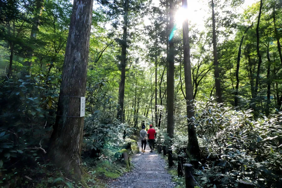 Tsukechi Gorge - Vẻ Đẹp Thiên Nhiên Hùng Vĩ Ở Tỉnh Gifu